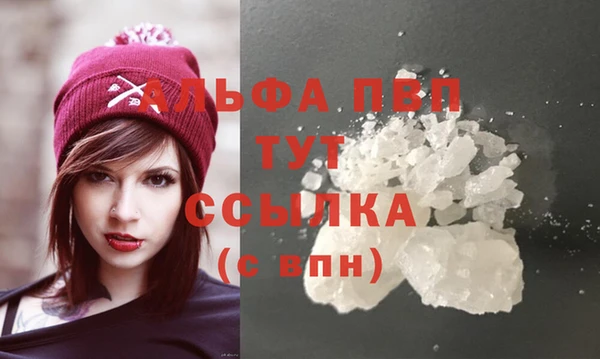 СК Алексин