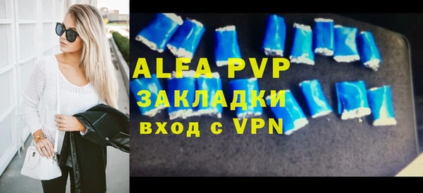 СК Алексин