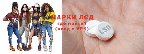СК Алексин