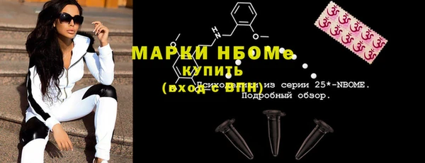 СК Алексин