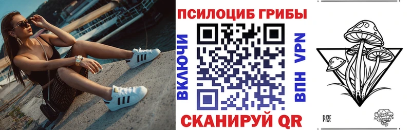 Галлюциногенные грибы Psilocybine cubensis  мориарти формула  Козловка 